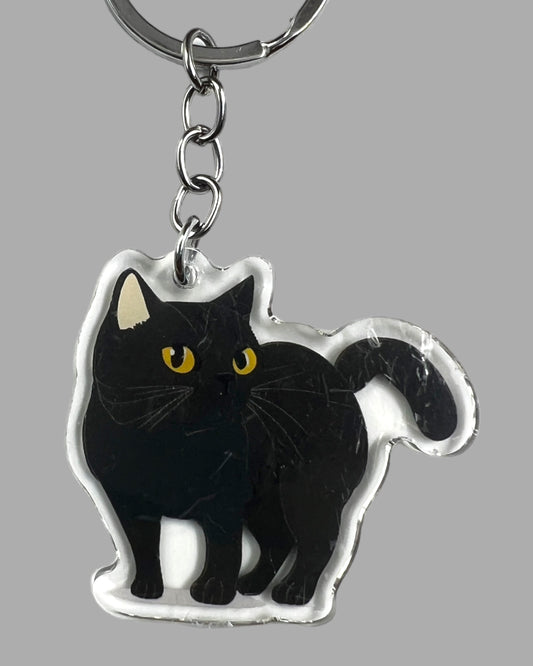 American Short Hair Cat Acrylic Keychain Cute kawaii animal memorial ornament, pet portrait charm gift  backpack photo fob or dad car décor