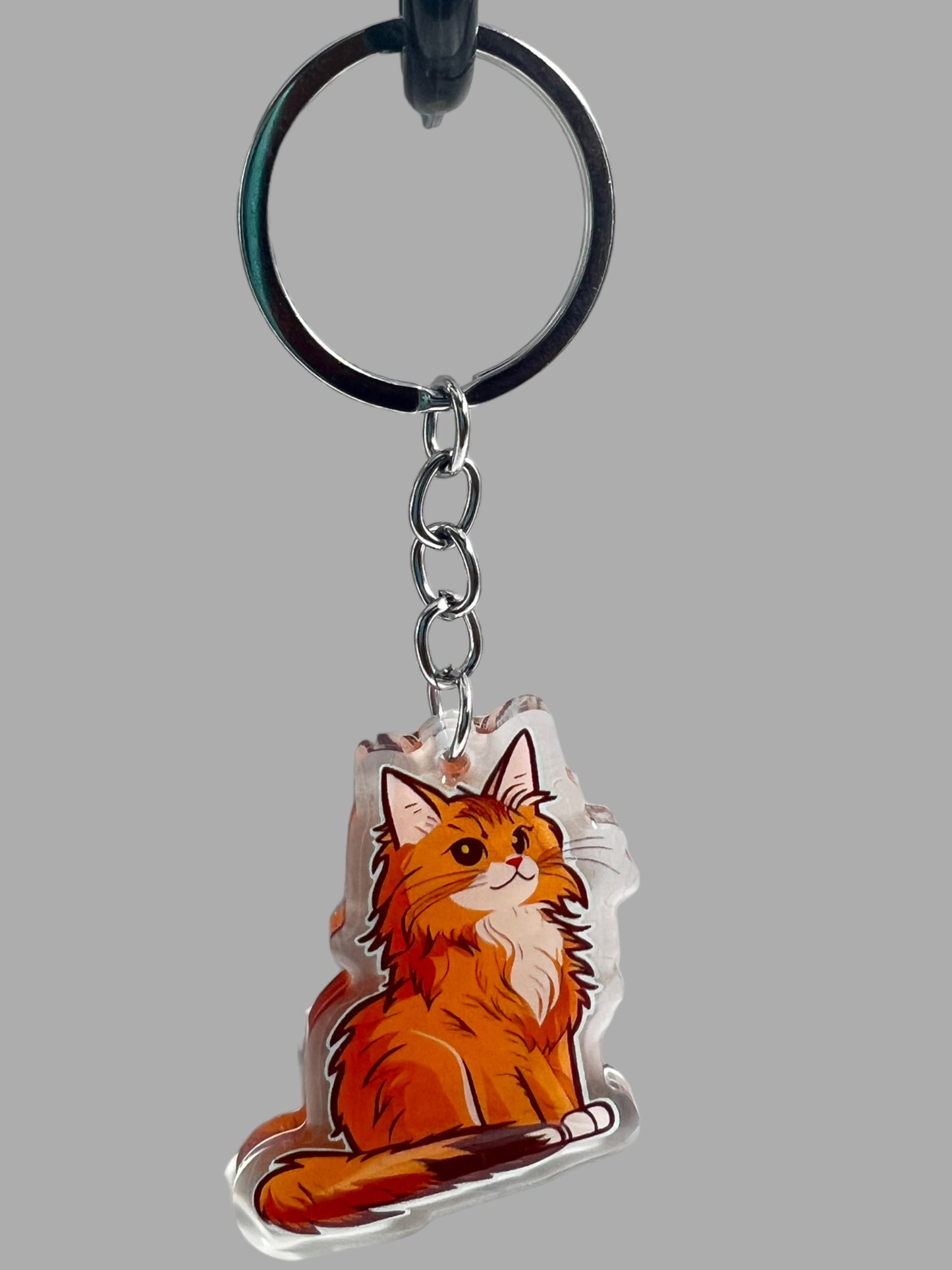 Maine Coon Cat Acrylic Keychain, Cute kawaii memorial ornament, pet portrait charm gift  backpack fob, dad car décor, first day of school gift