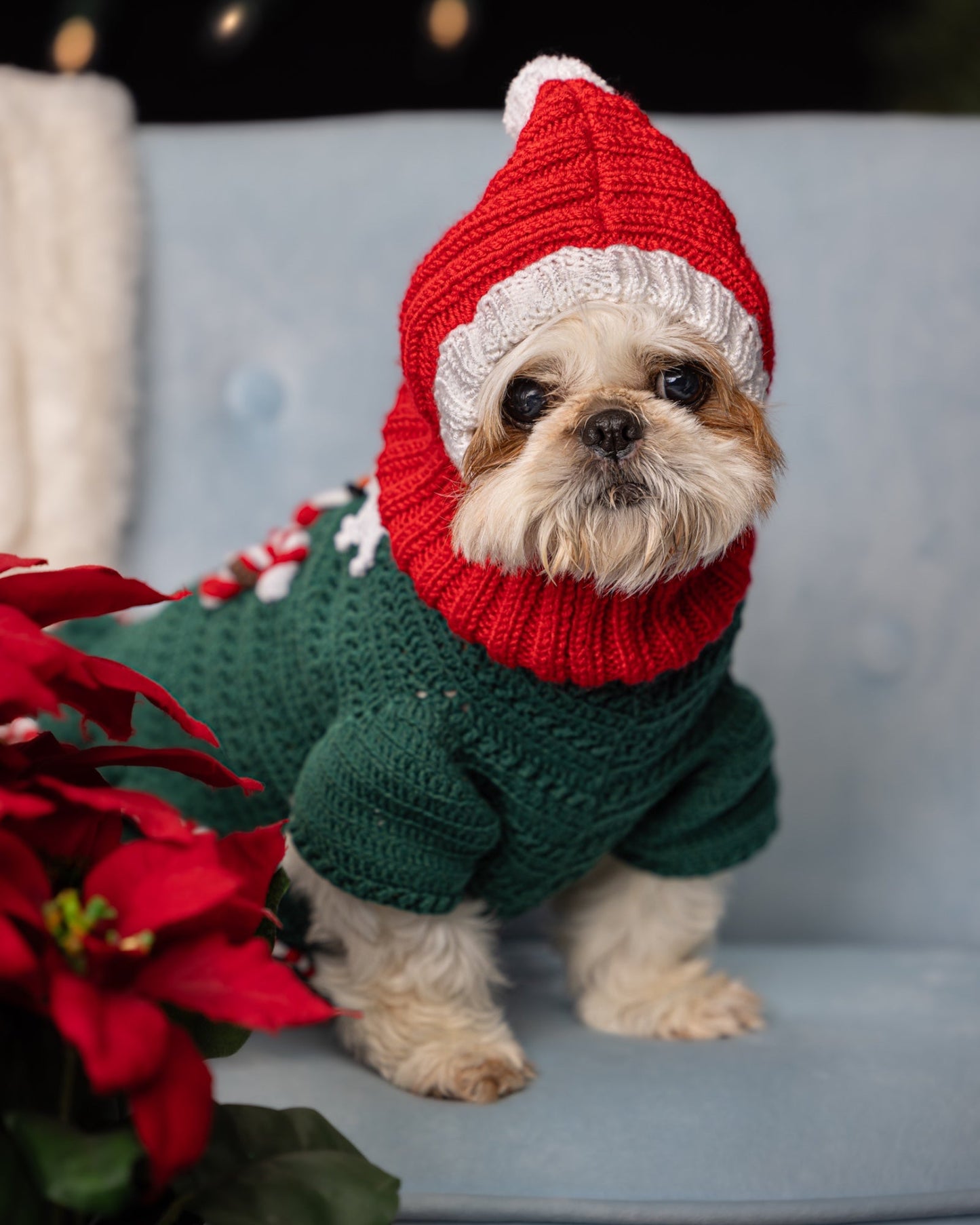 Small dog snowman Sweater