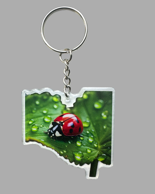 Ladybug wildlife insect acrylic keychain, Cute kawaii memorial ornament, pet portrait charm gift  backpack fob, dad car décor, first day of school gift