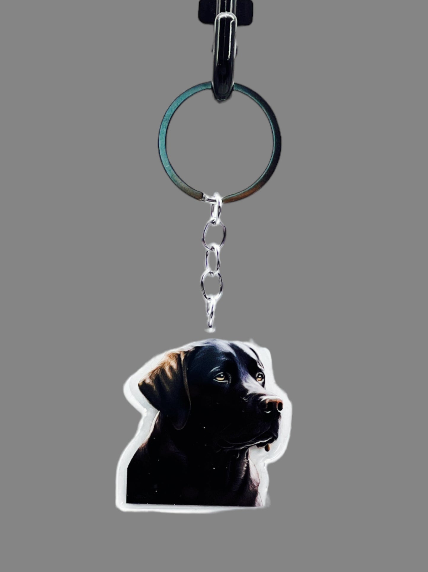 Chihuahua Acrylic Keychain Cute kawaii memorial ornament, pet portrait charm gift  backpack fob, dad car décor, dog mom